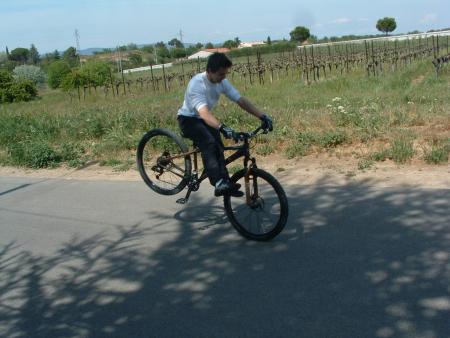 stopies cancan