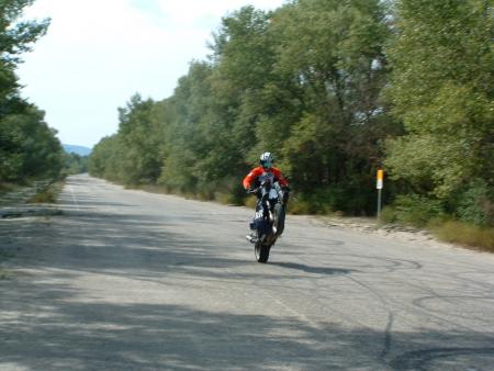 stunt moto