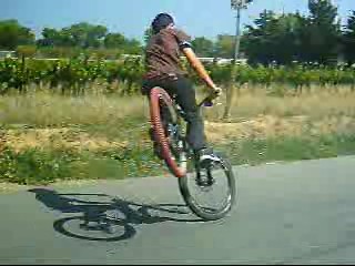 stopie